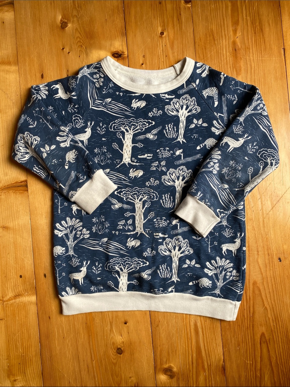 Winter Water Factory sweatshirt